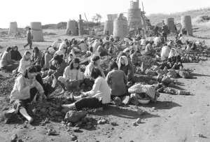 Chinese collective farm, 1958 - Pelikia Photos
